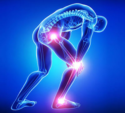 Orthopaedics & Joint Replacement  